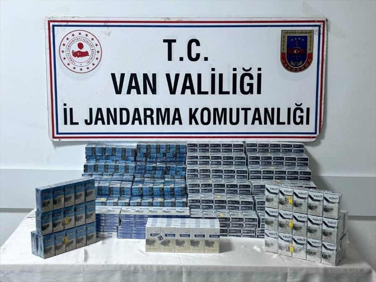 Van\'da Kaçakçılık Operasyonlarına 95 Gözaltı