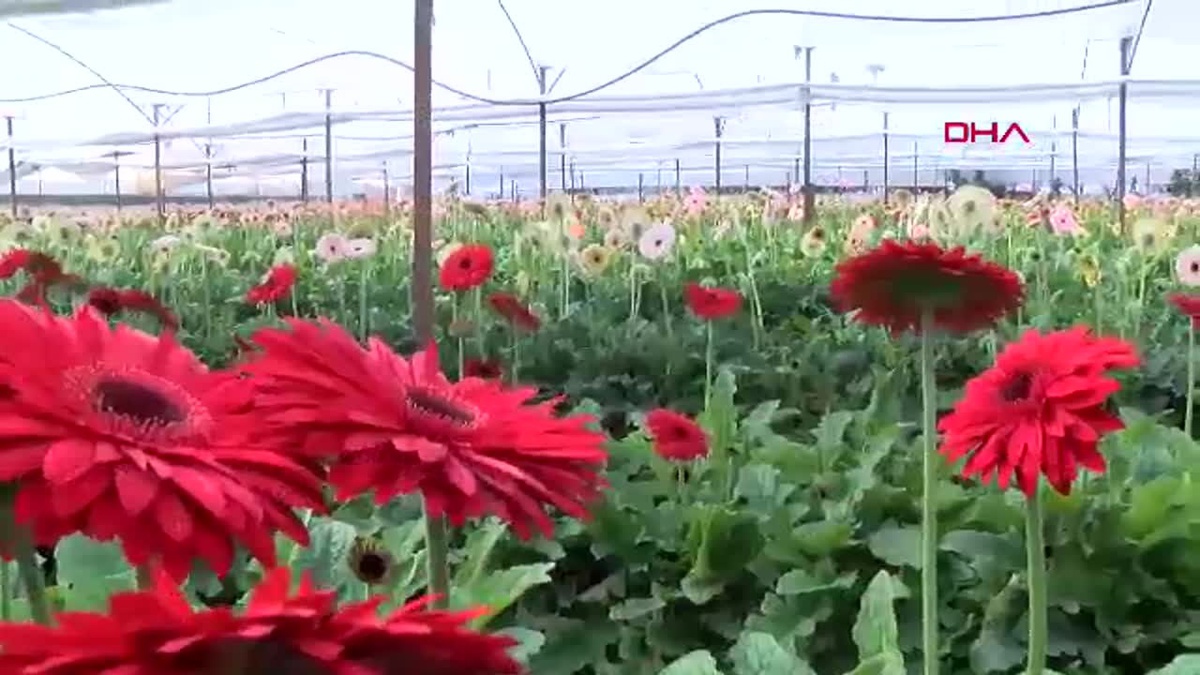 Antalya\'nın İhracat Verileri Açıklandı