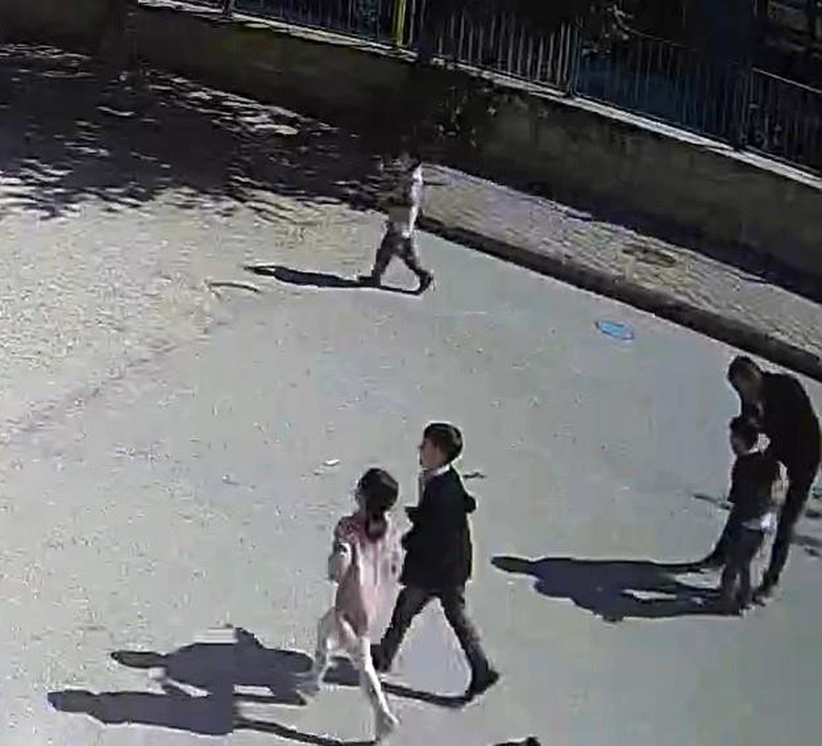 Öğretmen Öğrencisini Boğulmadan Kurtardı