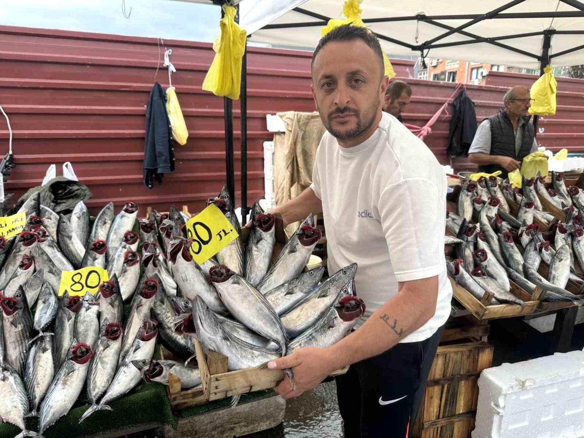 Zonguldak\'ta Palamut 80 Liraya Düştü