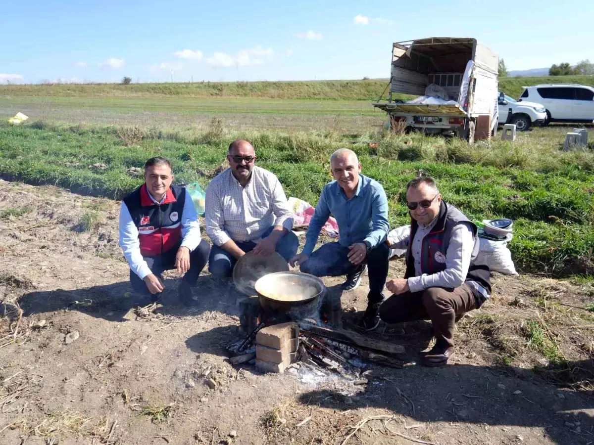 Kastamonu\'da Hasat Şenliği: Patates Rekolteleri Beklentinin Üzerinde