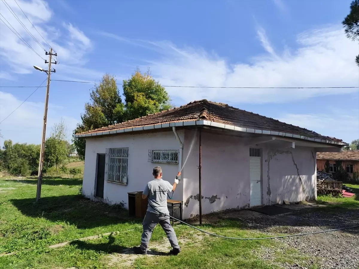 Kahverengi Kokarca ile Mücadele Başladı