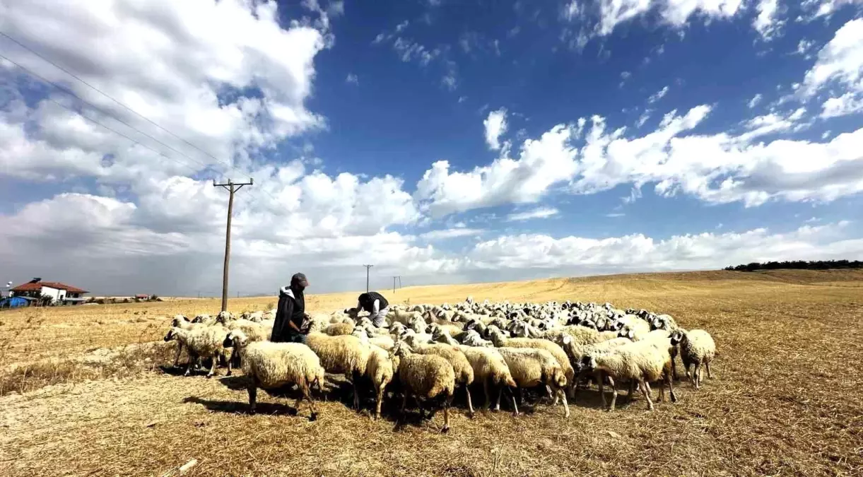 Malatya\'nın Yaylacıları Kışa Dönüş Yolu