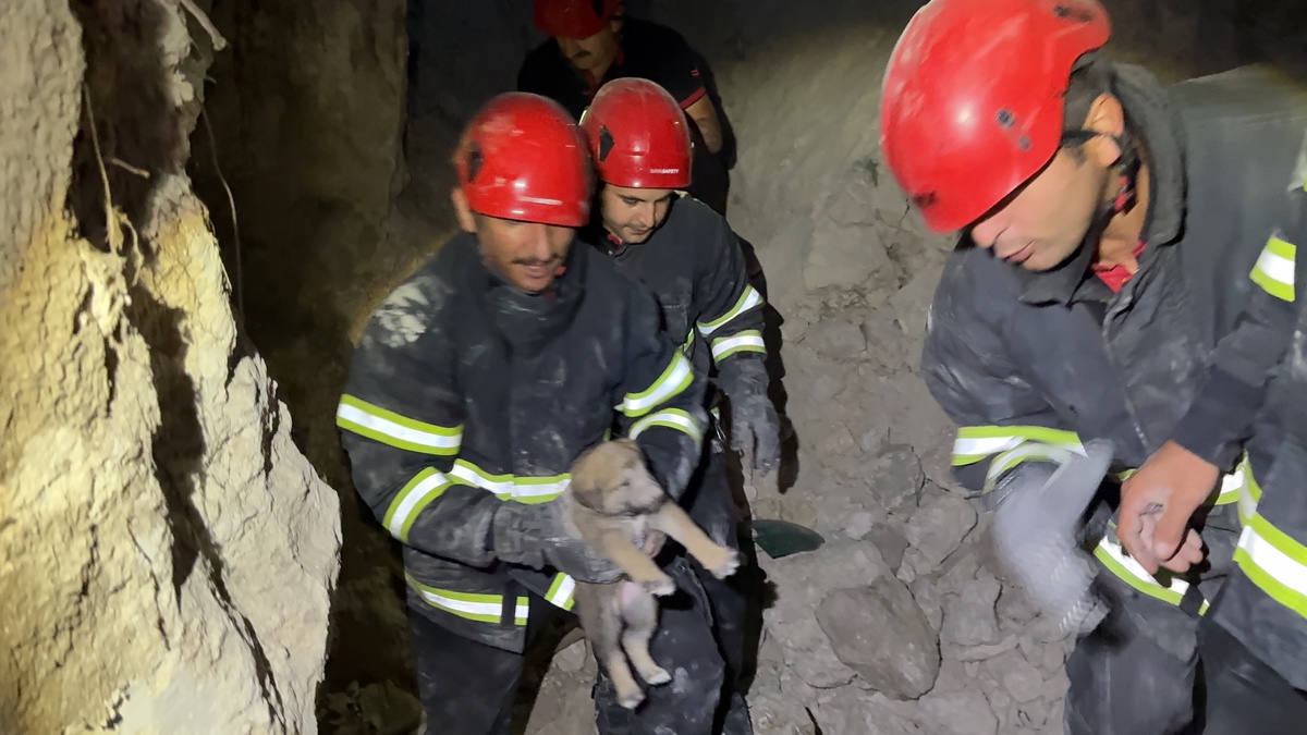 Çorum\'da Yavru Köpekler Yarıkta Mahsur Kaldı