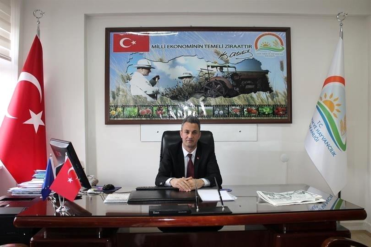 Bilecik\'te Kahverengi Kokarca Uyarısı