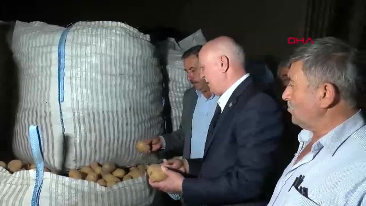 Patates İçin Acil Müdahale Gerekiyor