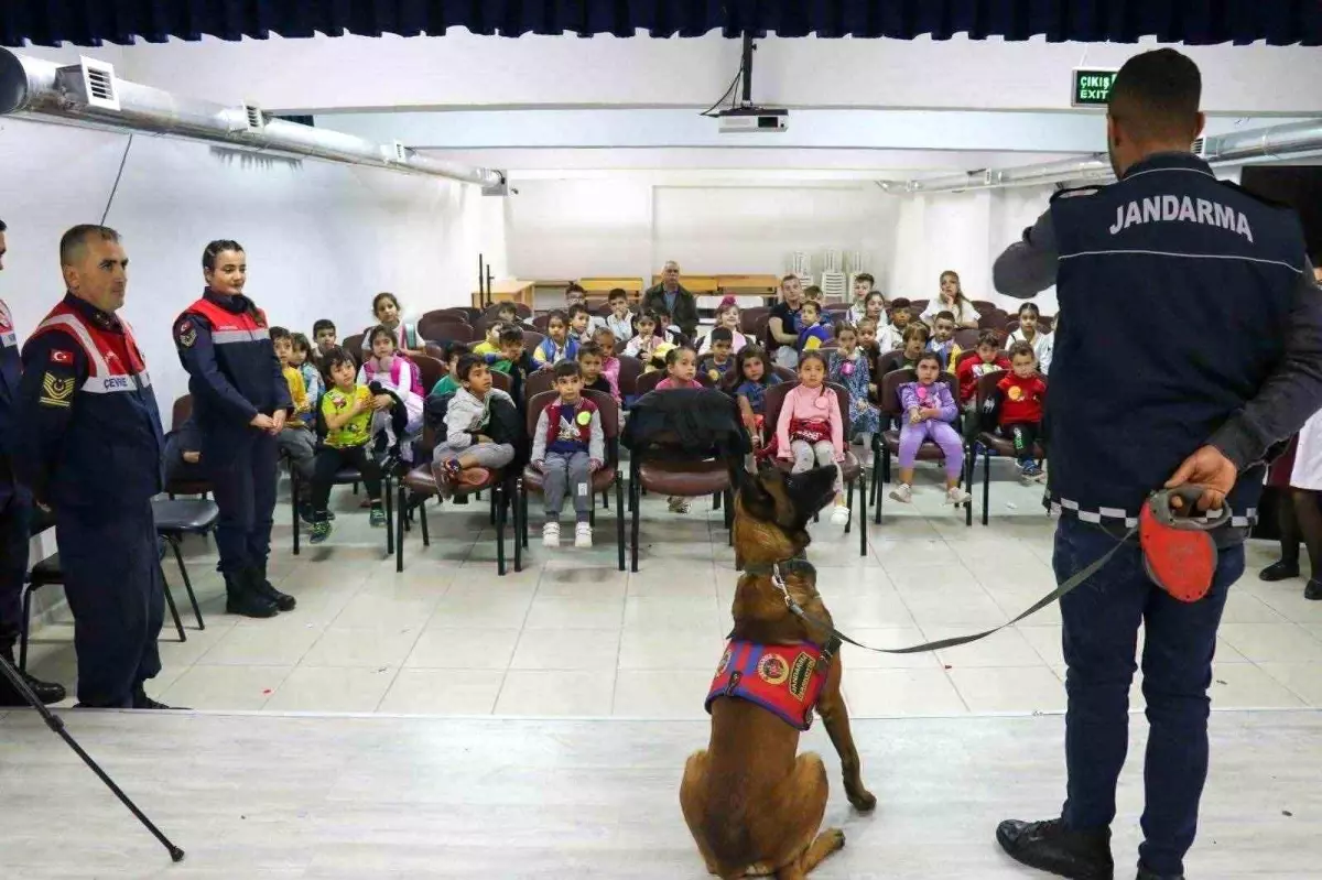 Eskişehir\'de Hayvanları Koruma Günü Etkinliği