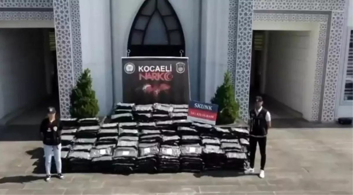 Kocaeli\'de 345 Kilo Skunk Ele Geçirildi