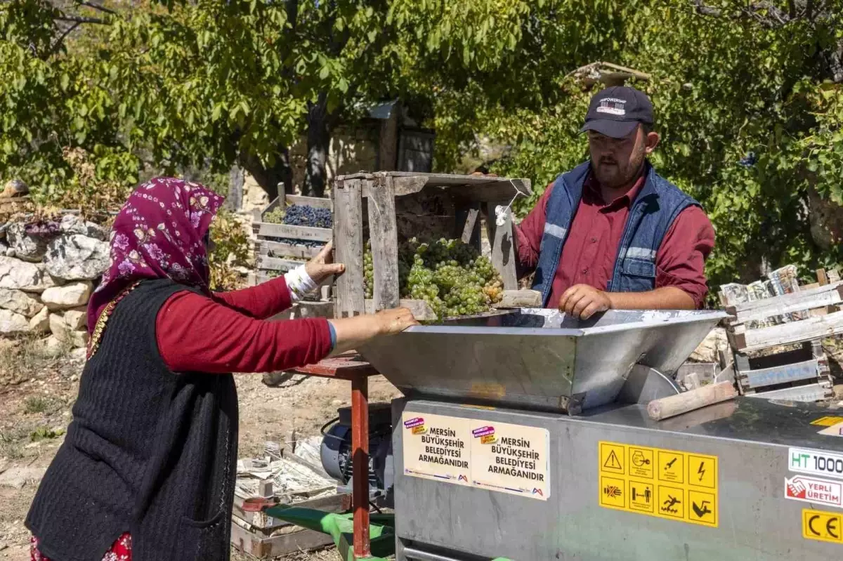 Mersin\'de Üzüm Sıkma Makinesi ile Üretim Hızlanıyor