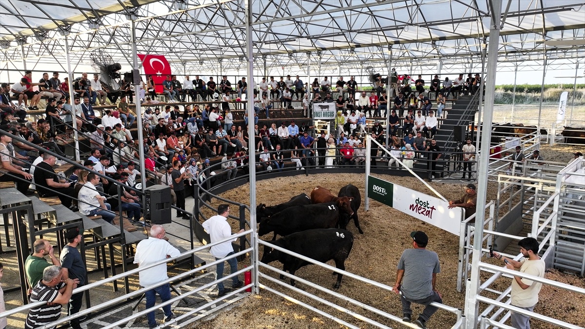 Kadın Çiftçilere İndirimli Hayvan Satışı