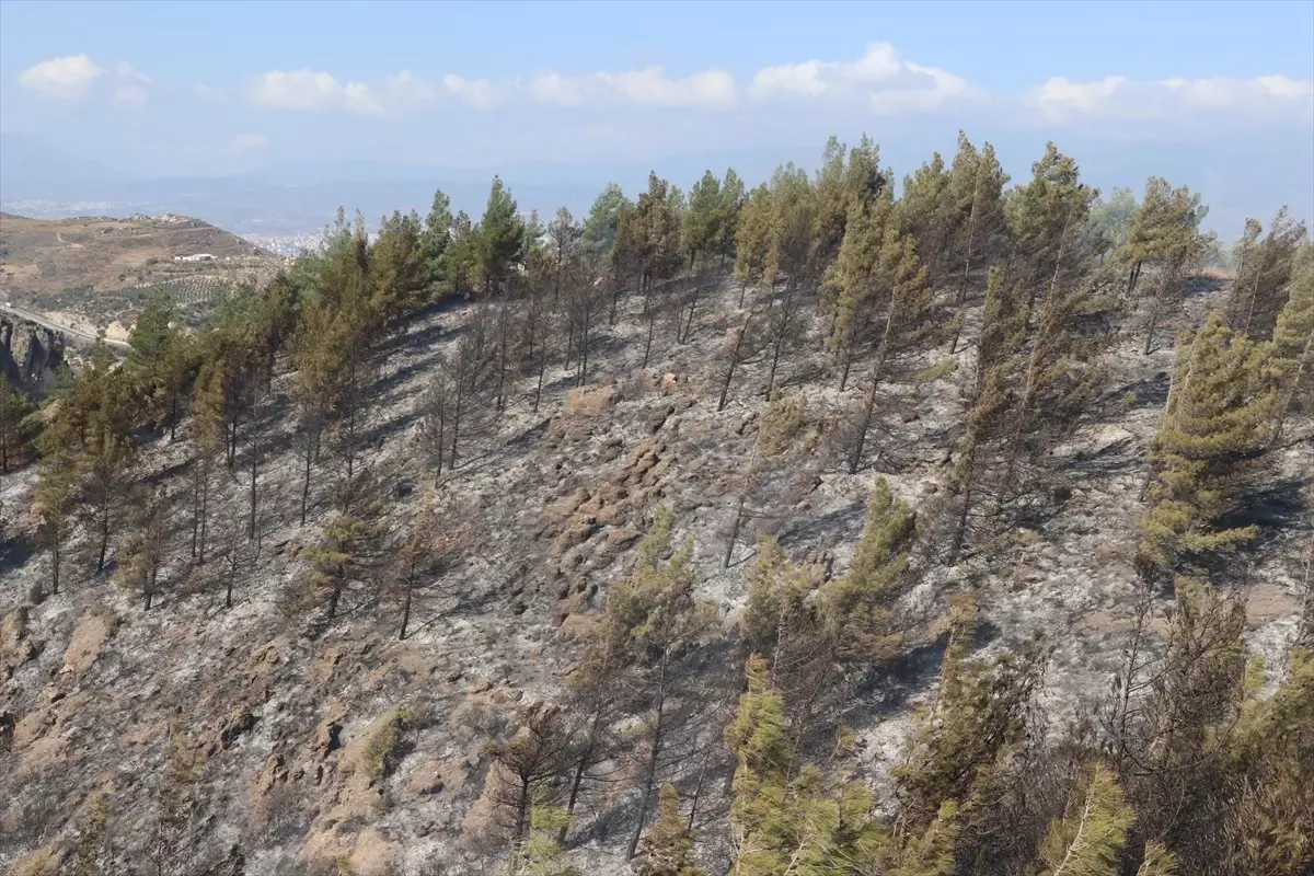 Antakya\'da Orman Yangını Kontrol Altına Alındı