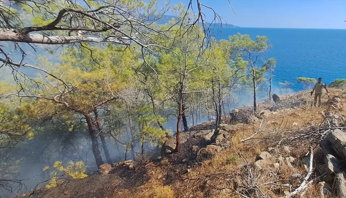 Gülnar\'da Orman Yangını Söndürüldü