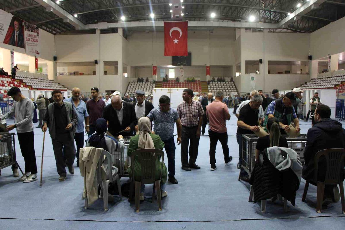Mustafa Saatcı Yeniden Başkan