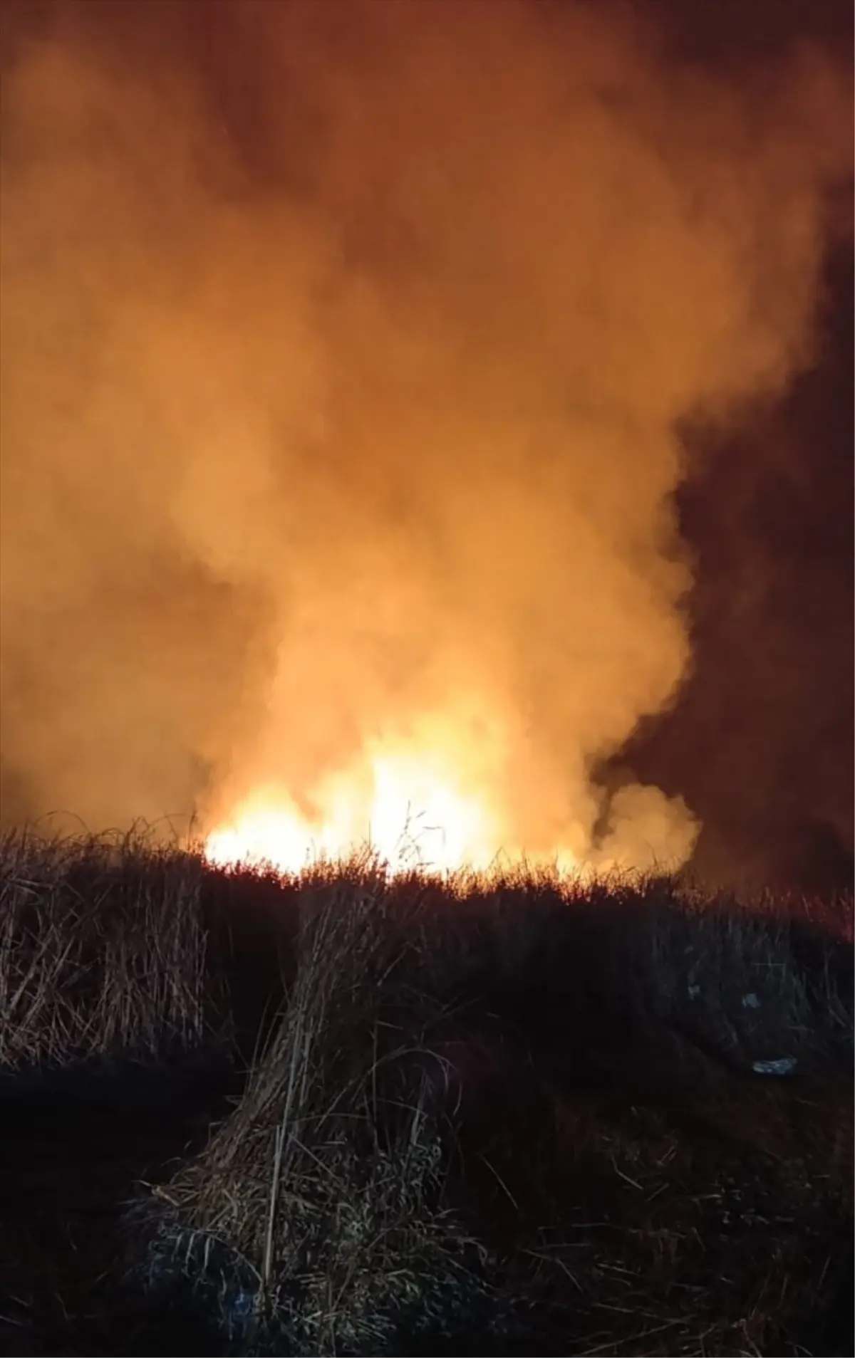 Yüksekova\'da Sazlık Yangını Söndürüldü