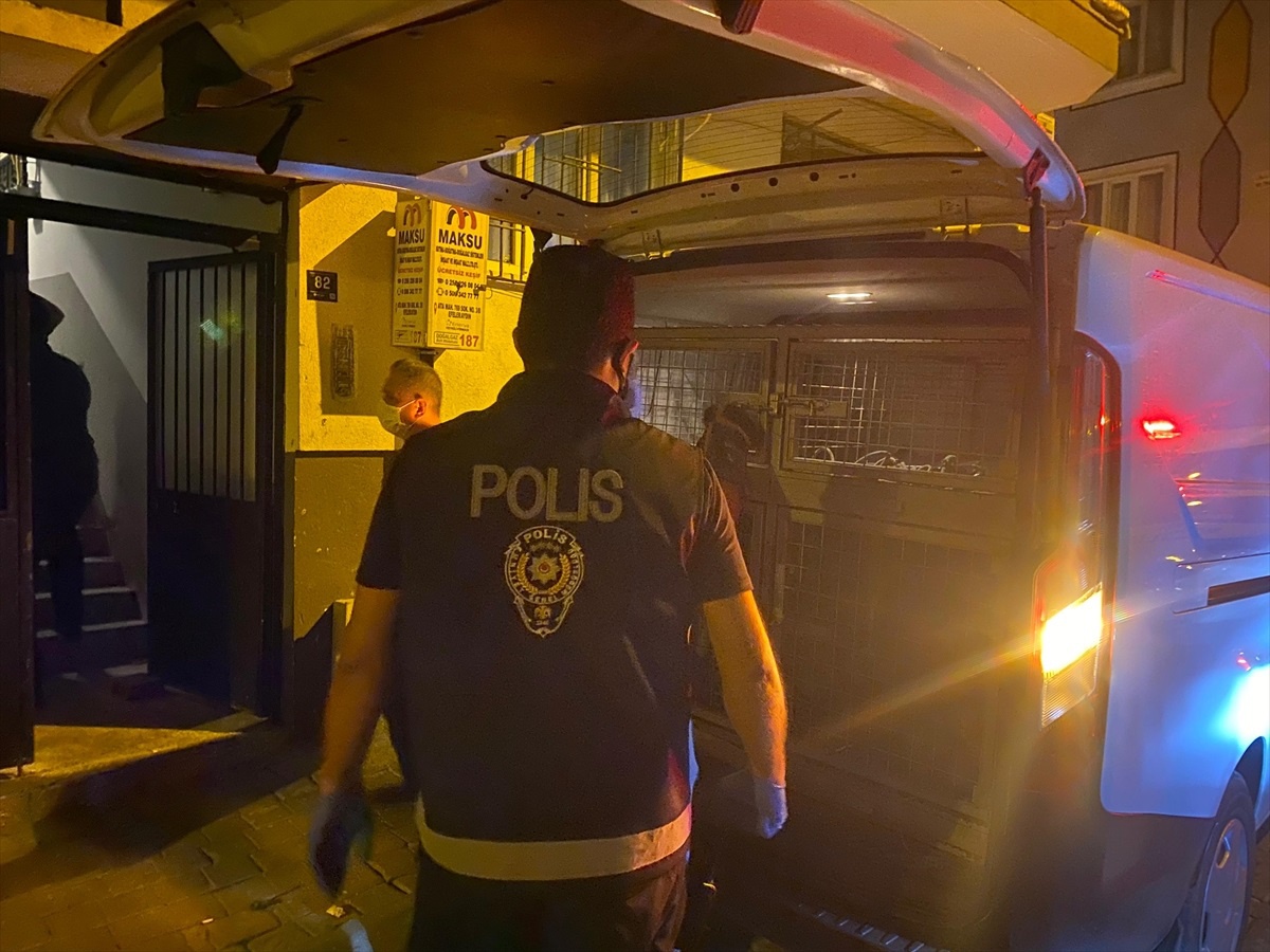 Aydın\'da 17 Hayvan Kurtarıldı
