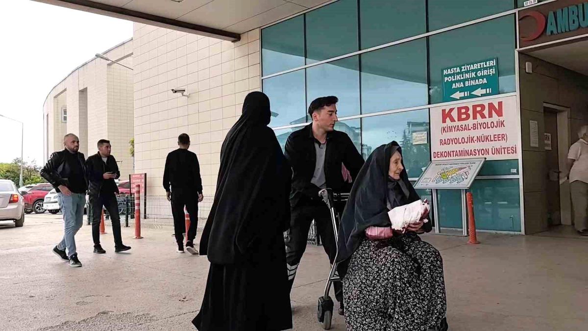 Yaşlı Kadın Kedinin Saldırısına Uğradı