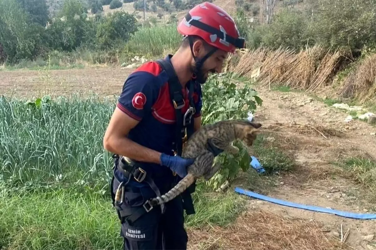 İzmir\'de Su Kuyusuna Düşen Kedi İtfaiye Ekipleri Tarafından Kurtarıldı