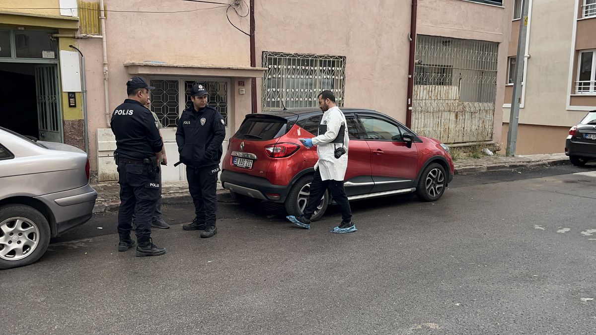 Kedi Yüzünden Kanlı Kavga