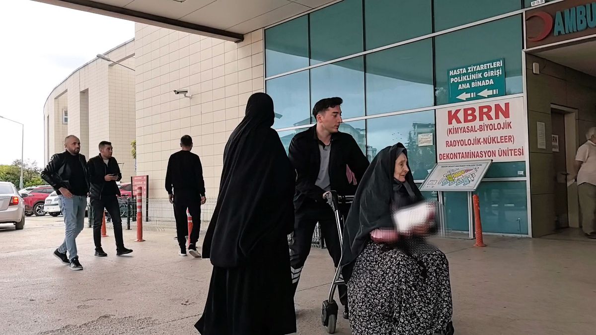 81 Yaşındaki Kadın Kedi Saldırısında Yaralandı
