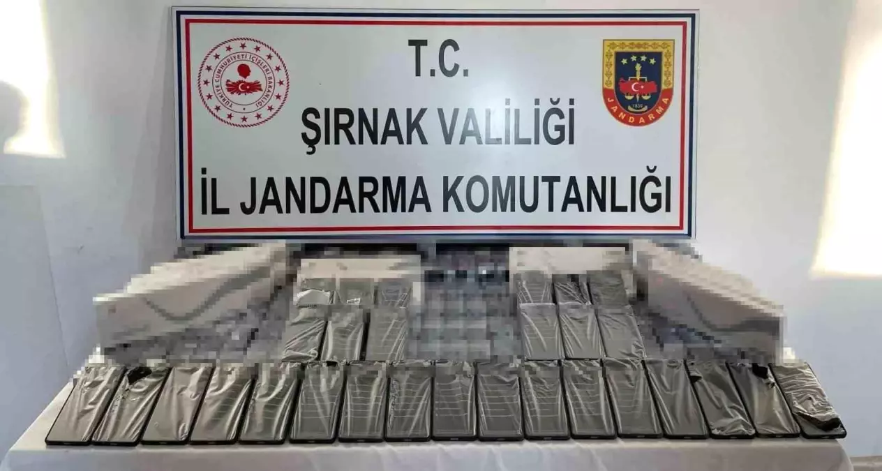 Şırnak\'ta 6 Milyon TL\'lik Kaçakçılık Operasyonu