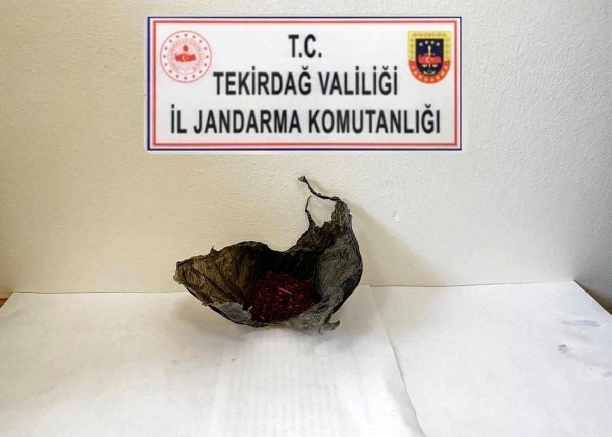 Tekirdağ\'da Bonzai Operasyonu