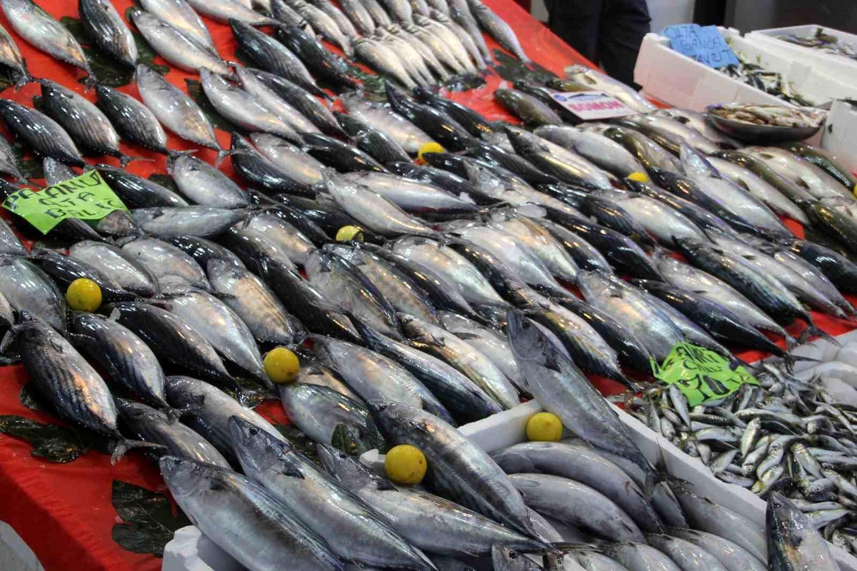 Palamut Fiyatları Hava Koşullarıyla Artıyor