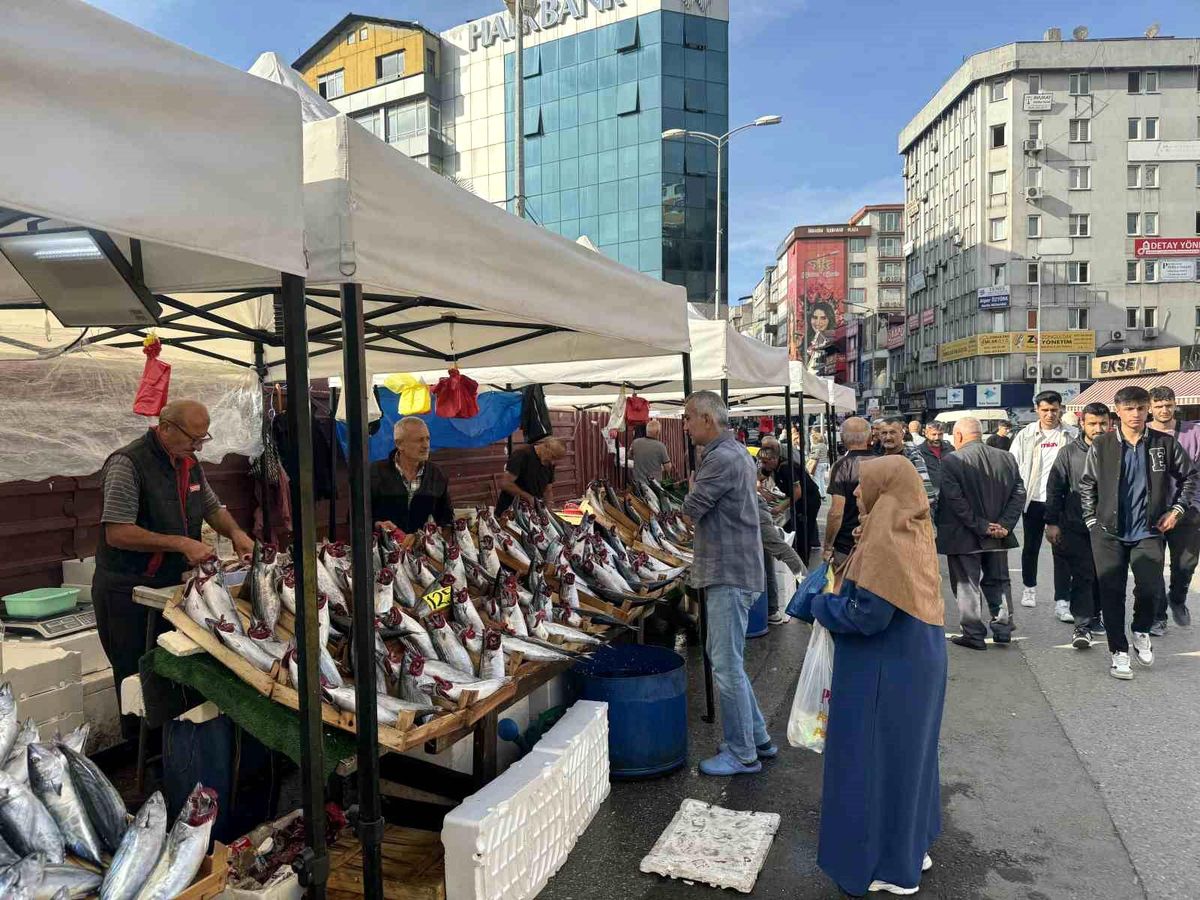 Zonguldak\'ta Mezgit En Pahalı Balık Oldu