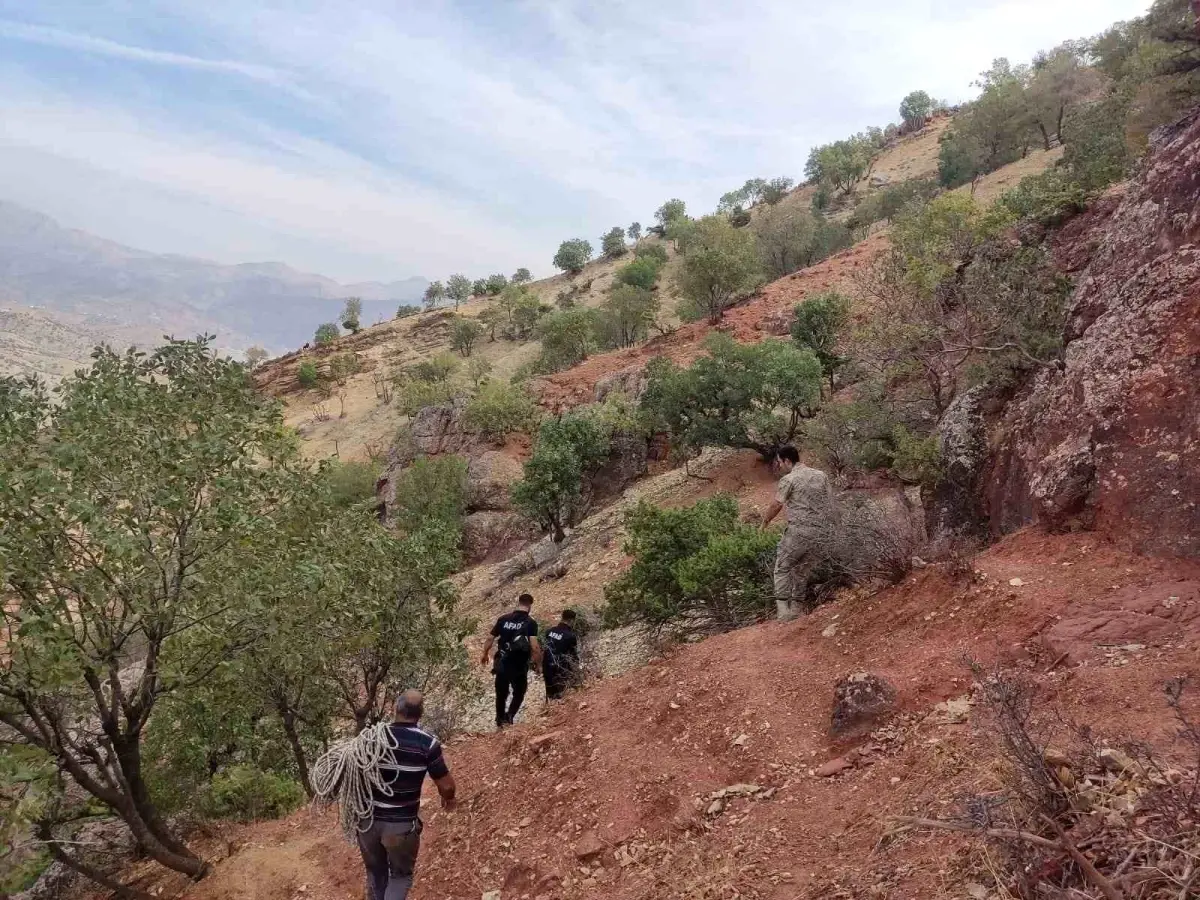 Siirt\'te Çoban ve Koyunları Uçurumdan Kurtarıldı