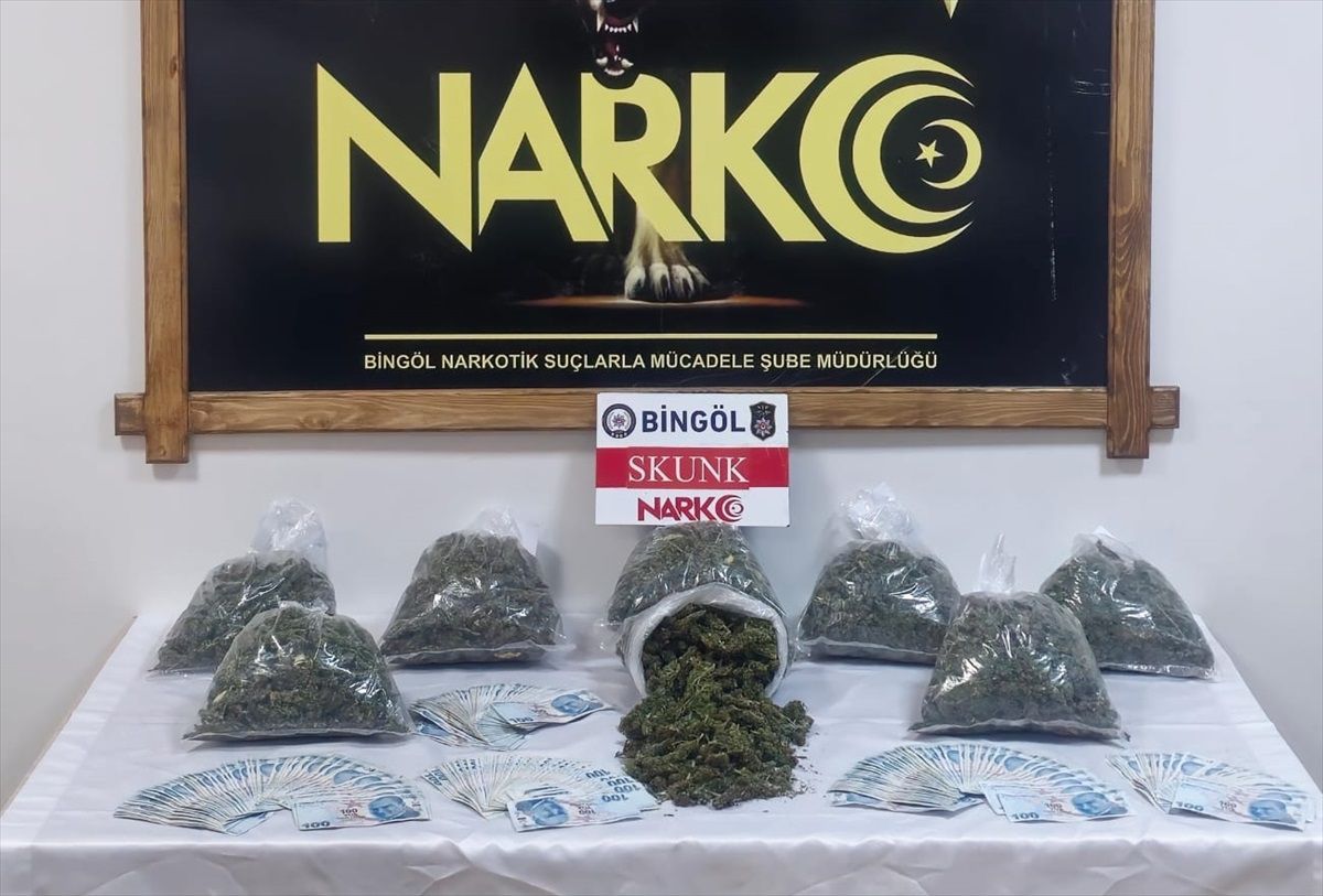 Bingöl\'de Skunk Operasyonu: 6 Gözaltı, 3 Tutuklama
