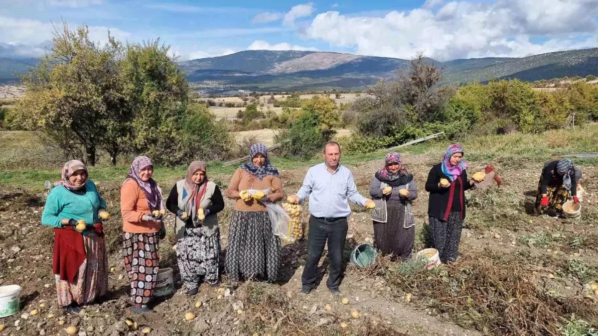 Kütahya\'da Çiftçiler Patates Üretimine Yöneldi