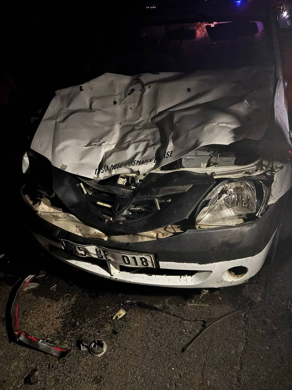 Ardahan\'da Trafik Kazası: 2 Yaralı, 2 Hayvan Telef