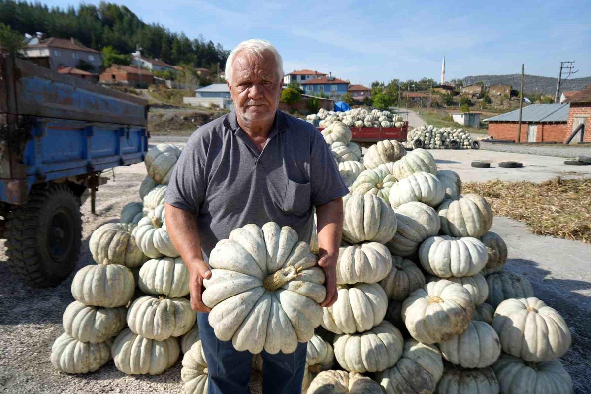 Kestane Kabakları 40 Şehre Satılıyor