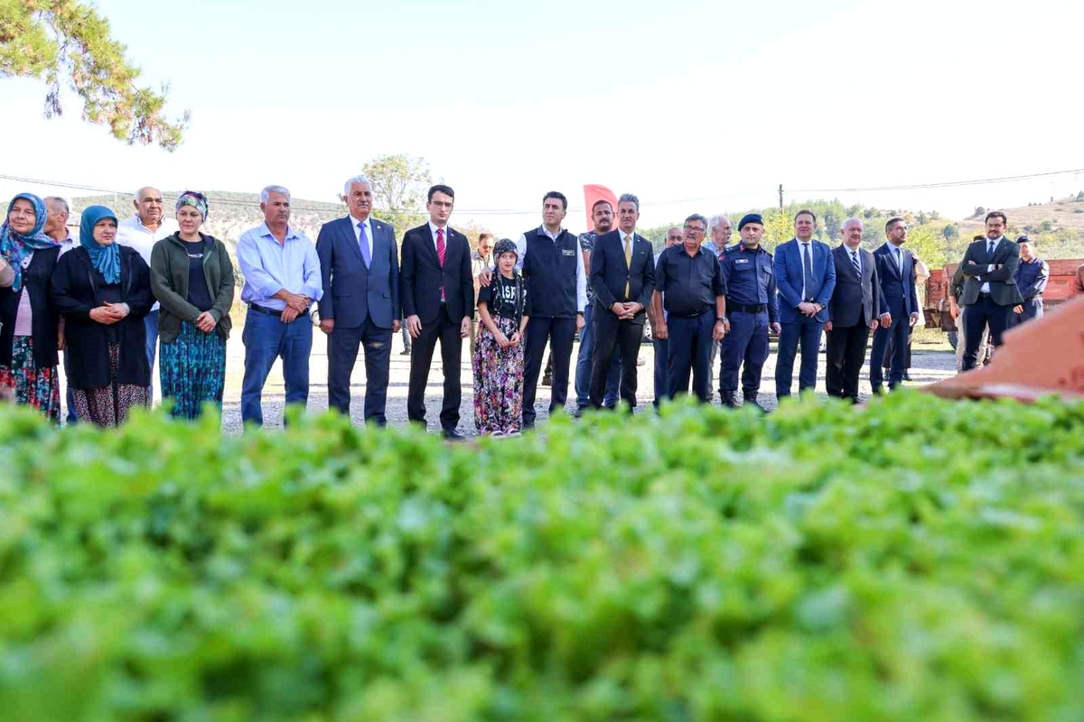 Bilecik\'te Marul Fidesi Dağıtımı