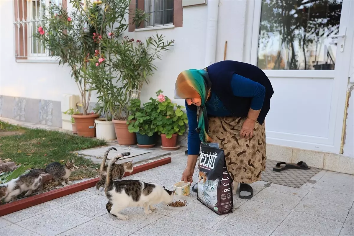 Belediyeden Yaşlı Kadına Mama Desteği