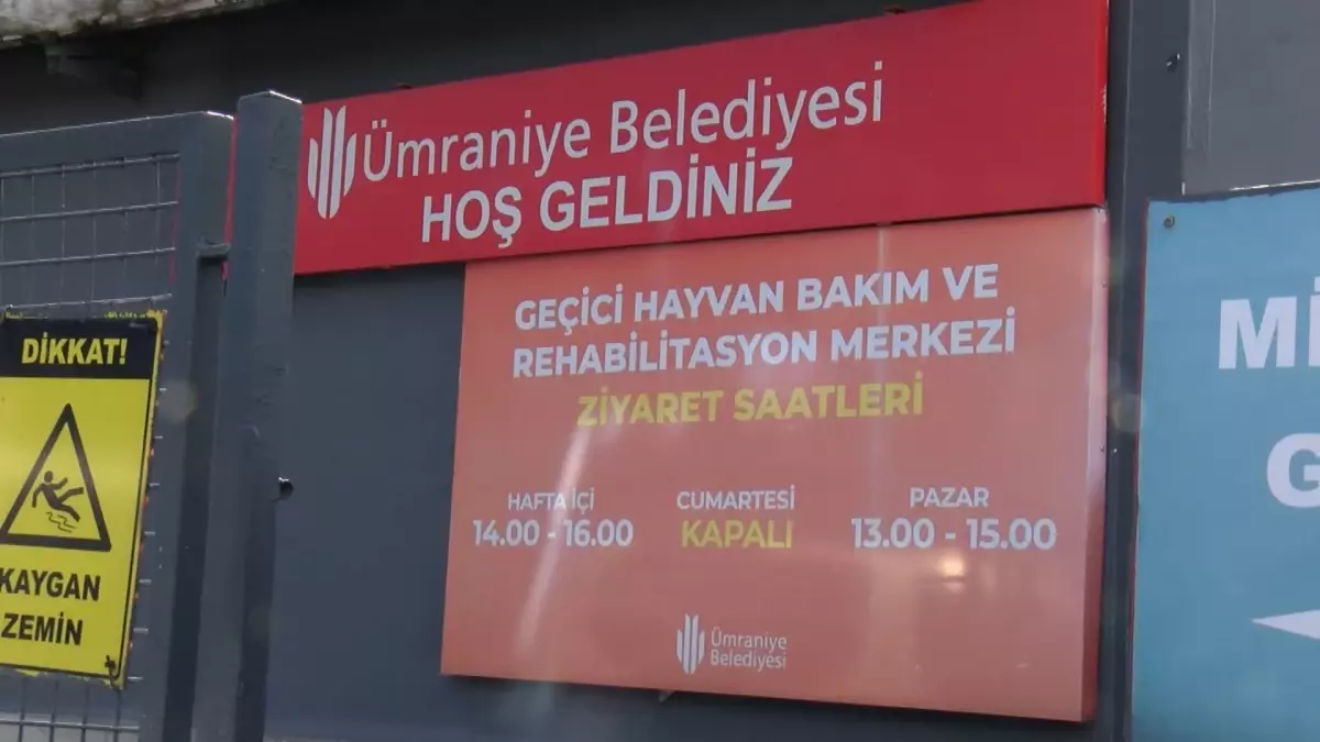 Ümraniye\'de Hayvan Bakımevi\'ndeki İddialara Yanıt