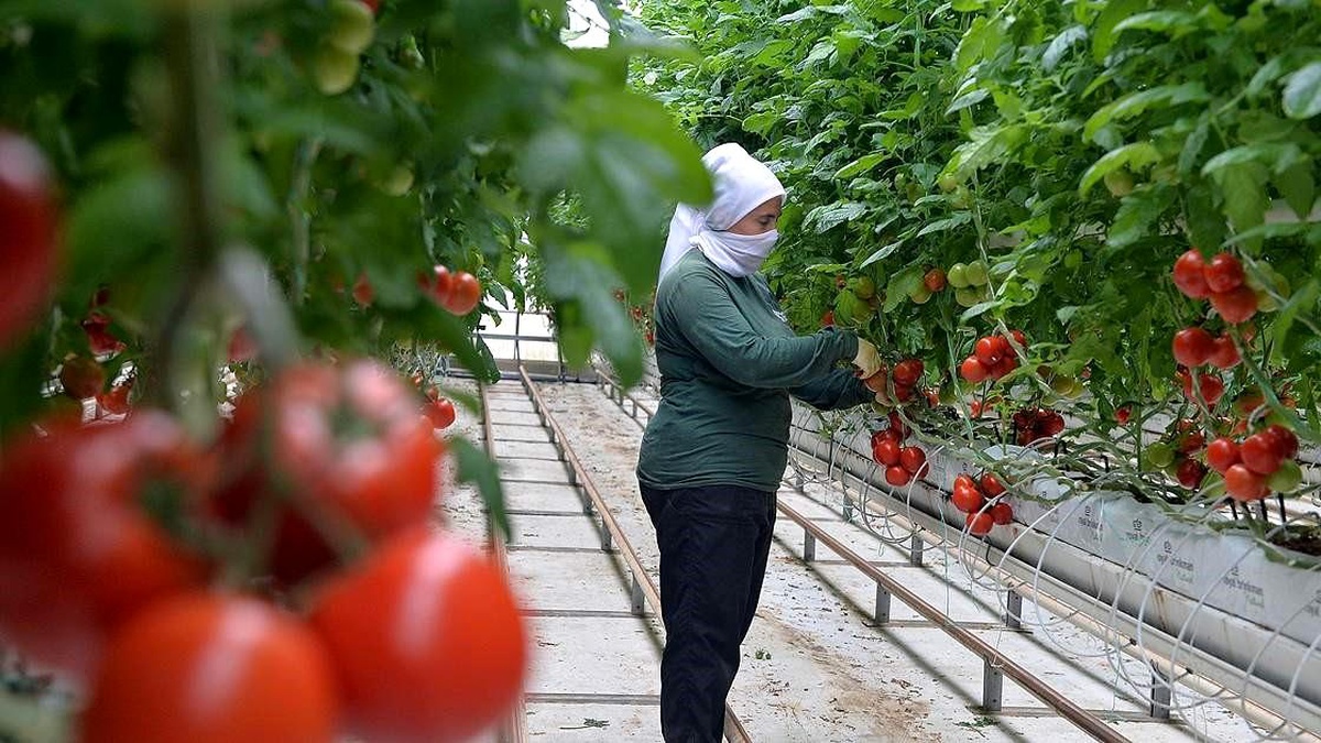 Türkiye Jeotermal Potansiyelini Artırmak İstiyor