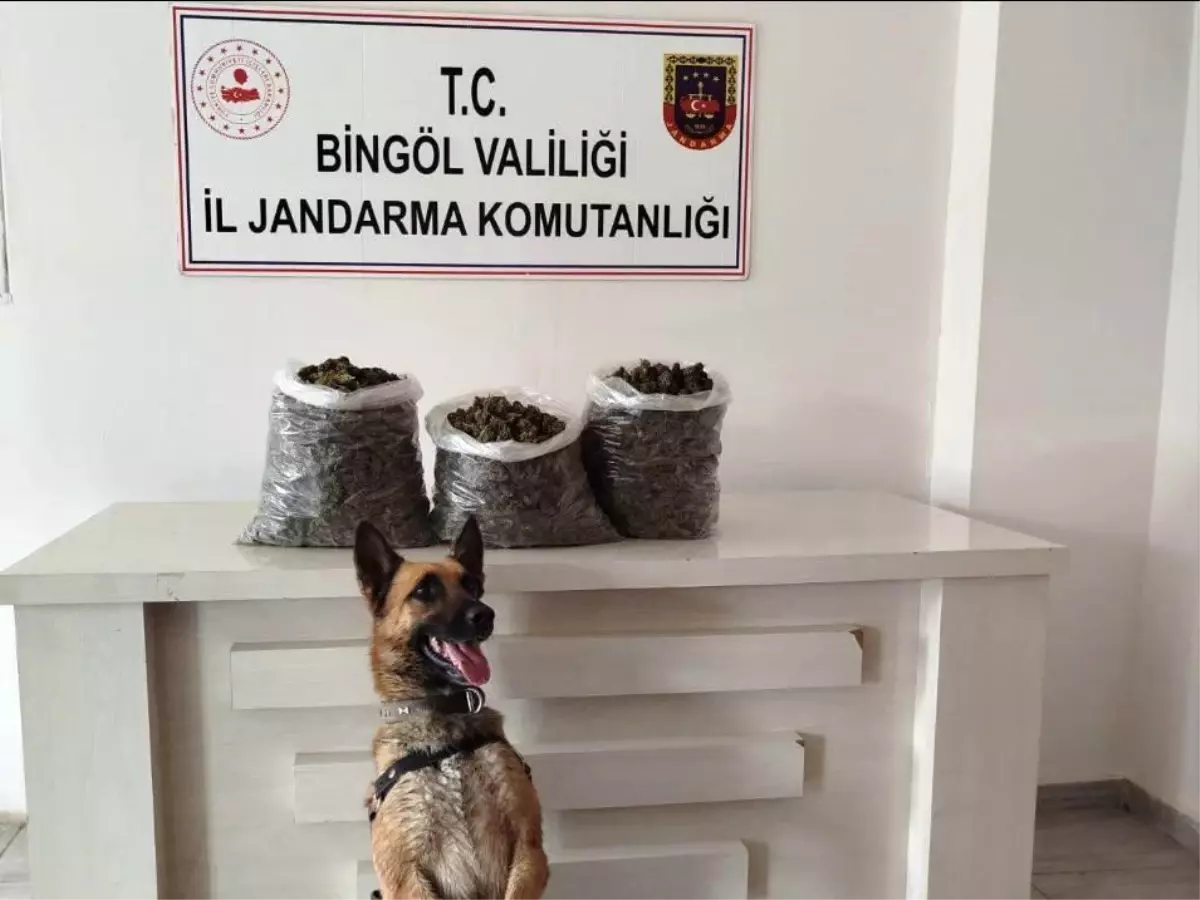 Bingöl\'de Uyuşturucu Operasyonu