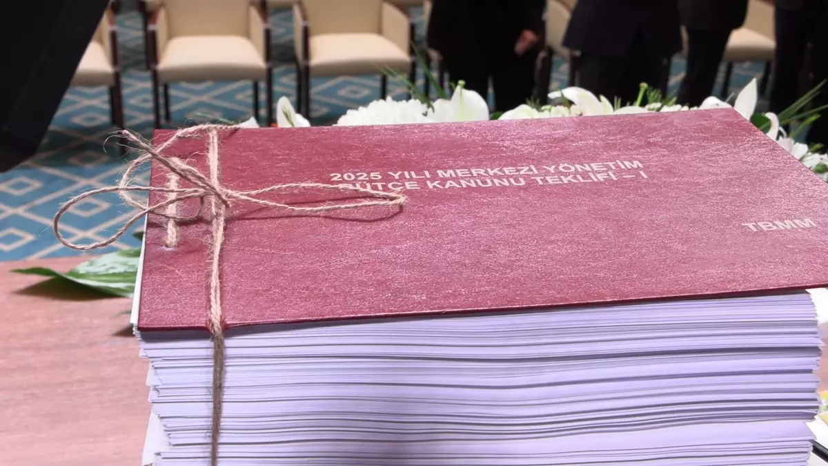 2025 Bütçesi Eğitime 14,8% Pay Ayırıyor