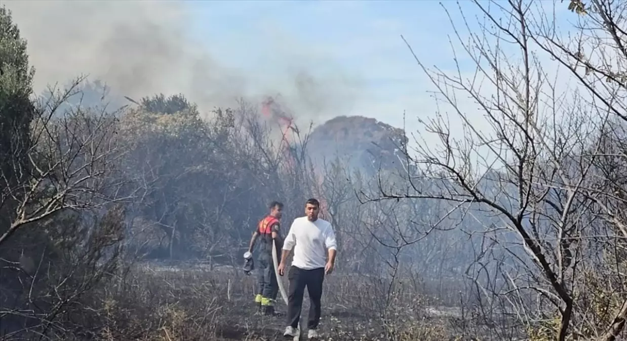 Datça\'da Tarım Yangını Söndürüldü