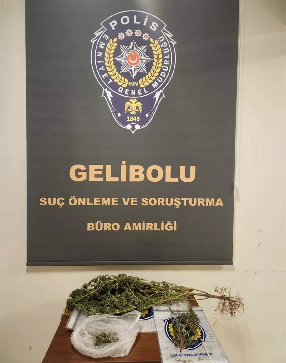 Gelibolu\'da Uyuşturucu Operasyonu