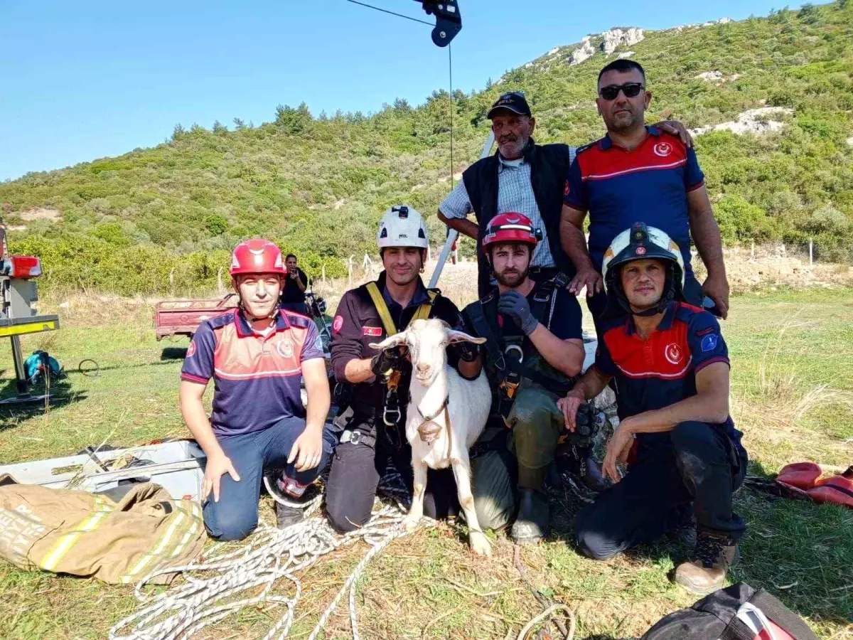 İzmir İtfaiyesi, Kuyuya Düşen Keçiyi Kurtardı