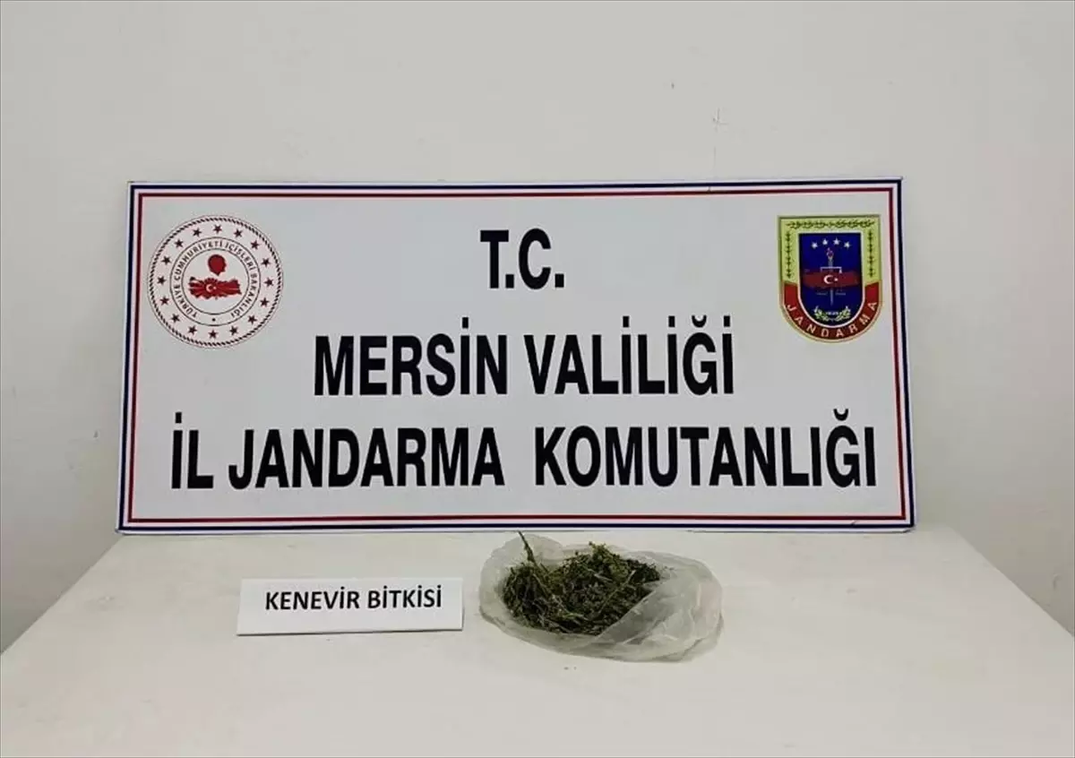 Mersin\'de Uyuşturucu Operasyonu: 3 Gözaltı