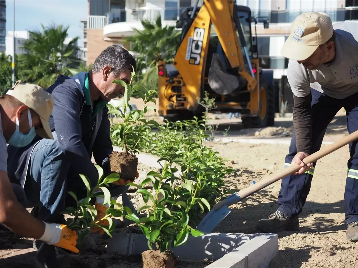 Duygu Bayhan Parkı\'na 150 Fidan