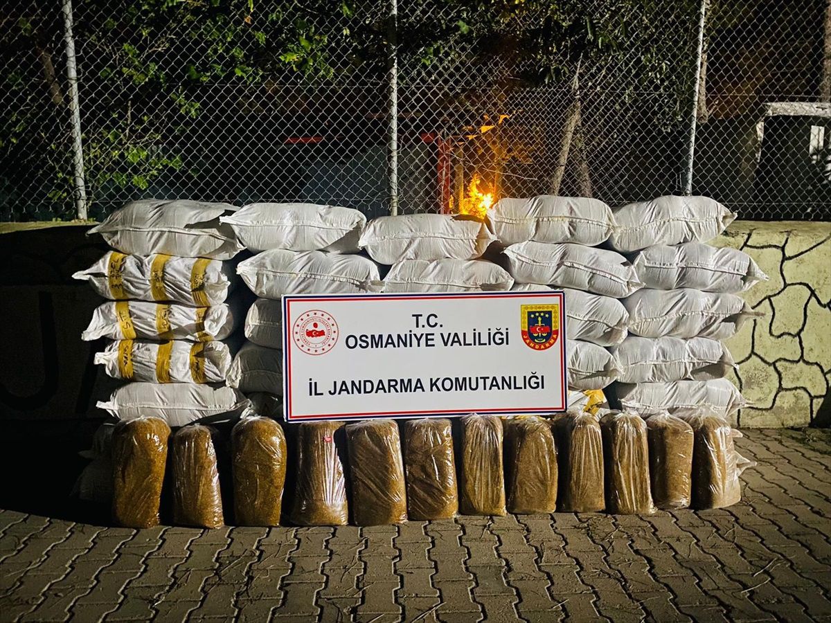 Osmaniye\'de 1460 kg Kaçak Tütün Ele Geçirildi