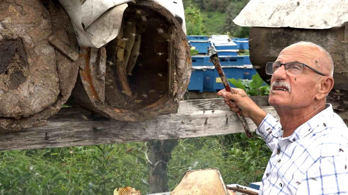 Karakovan Balı Hasadı Tamamlandı