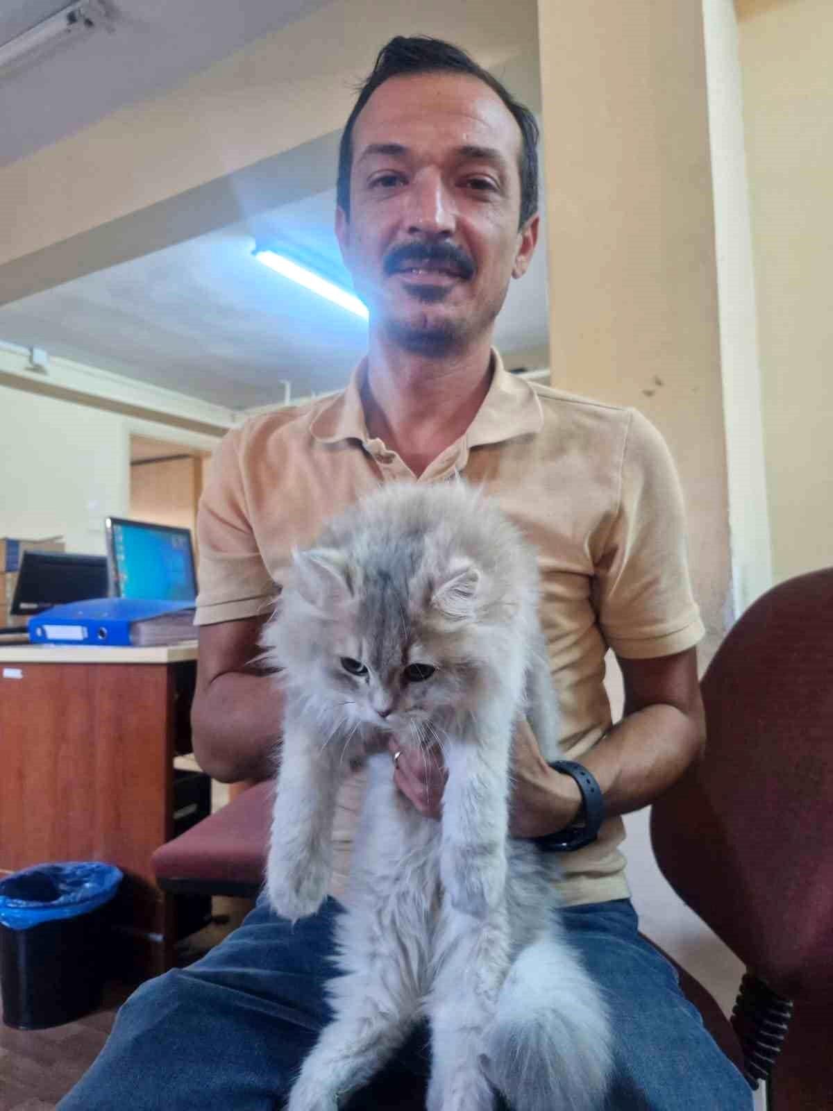 Ev Hayvanlarına Çip ve Aşı Zorunluluğu