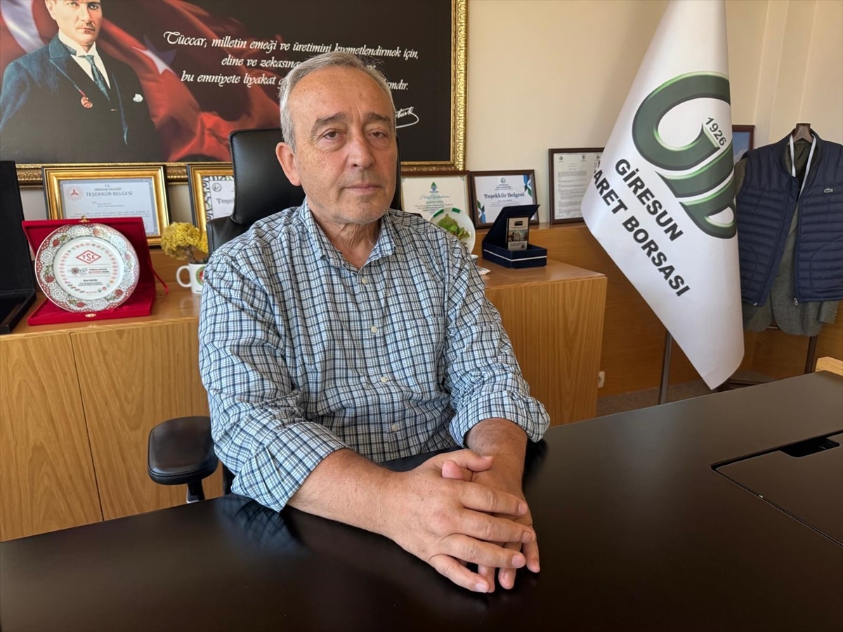 Türkiye Fındık İhracatında Rekor Gelir