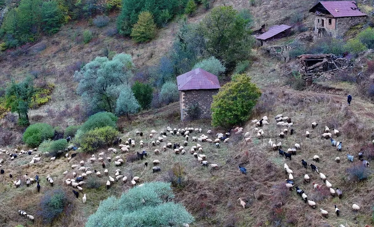 Zigana Dağı Geçidi\'nin Sonbahar Güzellikleri