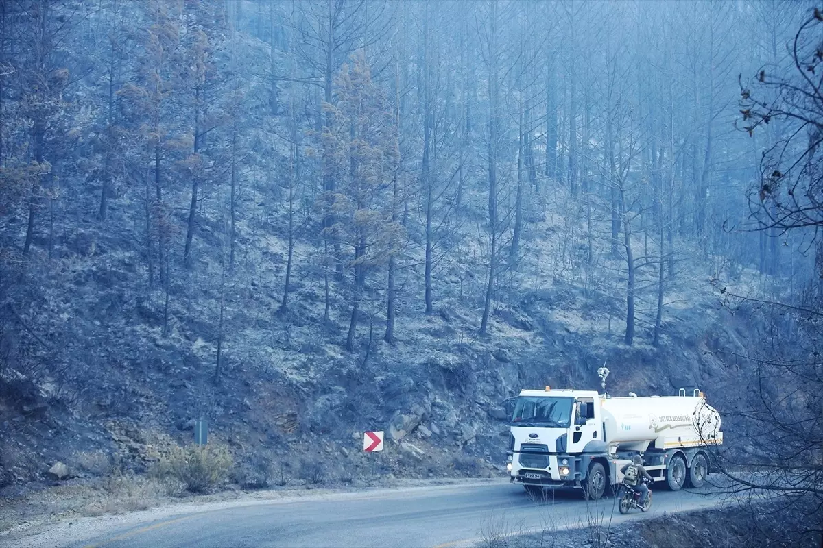 Muğla\'da Orman Yangınına Müdahale Sürüyor