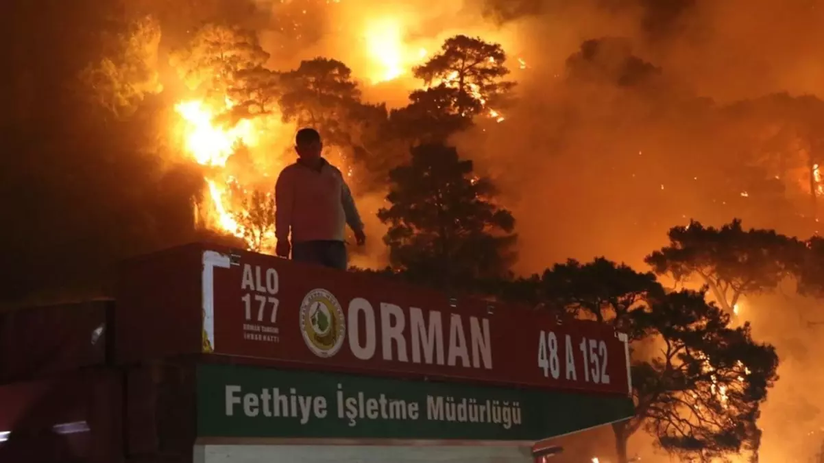 Dalaman\'da orman yangını büyüdü, bir mahalleye yaklaştı